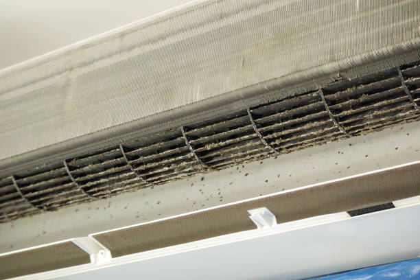 Best Professional Duct Cleaning Services  in Van Buren, AR