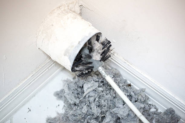 Best Home Air Vent Cleaning  in Van Buren, AR